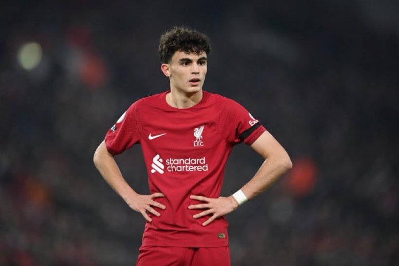 ستيفان بايتيتش يقترب من العودة إلى سيلتا فيغو